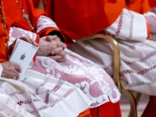 Cardeais acompanham a cerimônia durante sessão pública ordinária de criação de novos cardeais na Basílica de São Pedro, Cidade do Vaticano, dia 7 de dezembro de 2024.