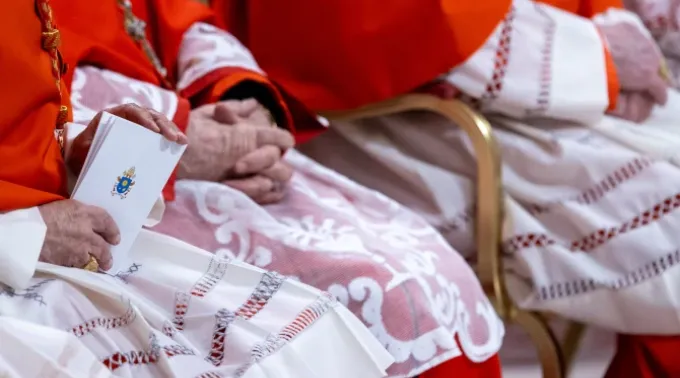 Cardeais acompanham a cerimônia durante sessão pública ordinária de criação de novos cardeais na Basílica de São Pedro, Cidade do Vaticano, dia 7 de dezembro de 2024. ?? 