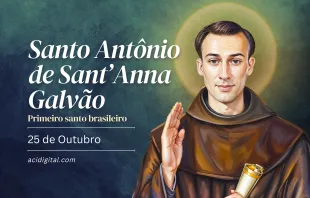 Santo Antônio de Sant'Anna Galvão, o Frei Galvão.