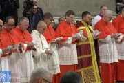 Alguns dos 21 novos cardeais da Igreja Católica, que foram criados hoje pelo papa Francisco num consistório ordinário público na basílica de São Pedro, no Vaticano