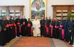 Bispos da Conferência Episcopal de Moçambique junto com o papa Francisco em visita ad limina em setembro.