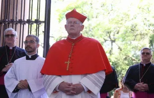 O arcebispo de Porto Alegre, dom Jaime cardeal Spengler.