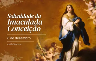 Imaculada Conceição da Virgem Maria