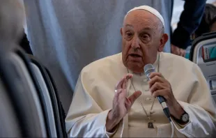 Papa Francisco respondendo as perguntas dos jornalistas durante voo de retorno a Roma, hoje (29)