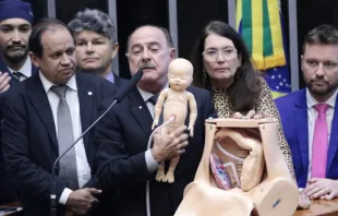 Deputado federal Zacharias Calil demonstrou no plenário da Câmara como é feito o procedimento de assistolia fetal em gestação acima de 22 semanas