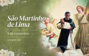 São Martinho de Lima