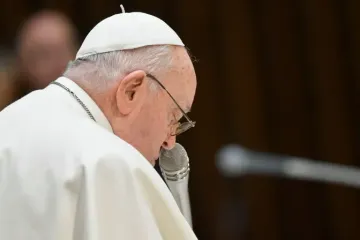 Papa Francisco.