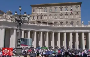 O papa Francisco presidiu a oração do Ângelus neste domingo, 25 de agosto, diante dos fiéis reunidos na Praça de São Pedro, no Vaticano.