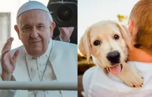 Papa Francisco na audiência geral - Uma pessoa carrega um cachorro.