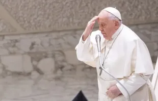 Papa Francisco durante a audiência geral de 28 de fevereiro de 2024.