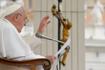 Papa Francisco na Audiência Geral de 19 de junho.