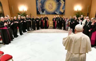 Papa Francisco recebe membros da Comissão Teológica Internacional