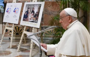 Imagem do papa Francisco na cerimônia por ocasião dos 40 anos do Tratado de Paz entre Argentina e Chile.