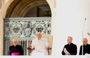 Papa Francisco durante a audiência geral de hoje (13)