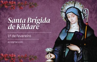 Santa Brígida de Kildare