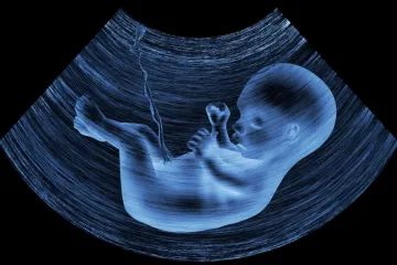 Imagem ilustrativa de bebê na barriga