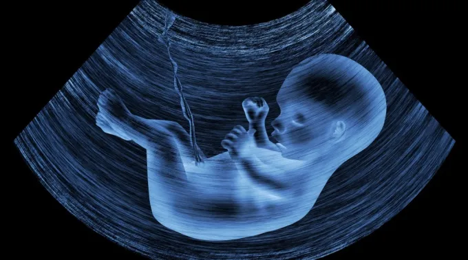 Imagem ilustrativa de bebê na barriga