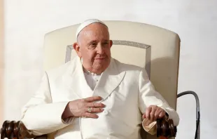 Papa Francisco na audiência geral do dia 22 de novembro de 2023