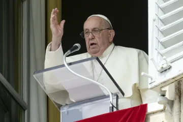 Papa Francisco no Ângelus de 22 de setembro de 2024.