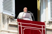 Papa Francisco no Ângelus de hoje (27)