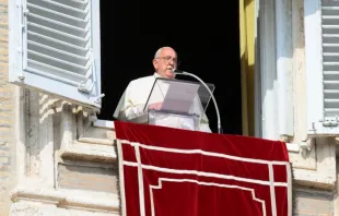 Papa Francisco no Ângelus de hoje (27)