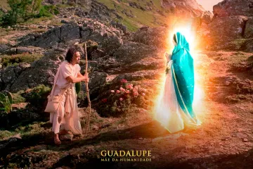 Guadalupe, Mãe da Humanidade