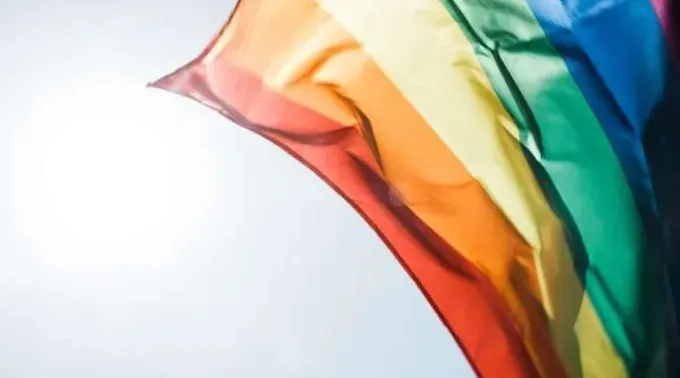 Bandeira do orgulho gay ?? 