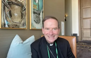 O bispo de Arlington, Virgínia, dom Michael Burbidge, chefe do Comitê de Atividades Pró-Vida da USCCB.