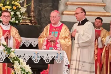 Cardeal Pietro Parolin em missa no Santuário Nacional de Nossa Senhora do Carmo de Berdychiv