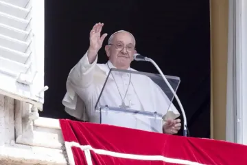 Papa Francisco acena a peregrinos