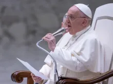 Papa Francisco em audiência geral em agosto de 2024.