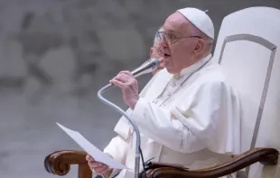 Papa Francisco em audiência geral em agosto de 2024.