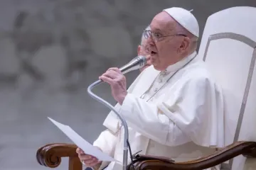 Papa Francisco em audiência geral em agosto de 2024