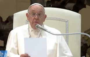 Papa Francisco fala a fiéis hoje (21) em audiência geral na Sala Paulo VI, no Vaticano.