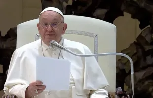 Papa Francisco fala a fiéis hoje (21) em audiência geral na Aula Paulo VI, no Vaticano.