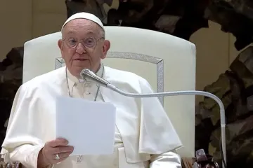 Papa Francisco fala a fiéis hoje em audiência geral na Aula Paulo VI