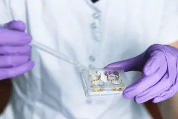 Fertilização in vitro