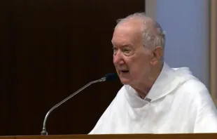 Padre Timothy Radcliffe disse a delegados do Sínodo da Sinodalidade que o período antes da assembleia deste ano "provavelmente será o tempo mais fértil de todo o sínodo, o tempo da germinação".