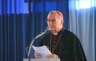 “Quanto a 'gênero', a Santa Sé sempre entende o termo como baseado na identidade sexual biológica que é masculina ou feminina”, disse o cardeal Pietro Parolin.