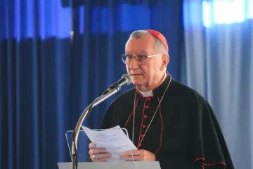 Pitero Parolin discursa