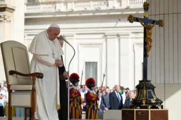 Papa Francisco no Vaticano