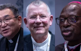 Os futuros cardeais dom Tarcisius Isao Kikuchi, dom Jaime Spengler e dom Ignace Bessi Dogbo falaram ontem (8) sobre as contribuições da Igreja fora da Europa.