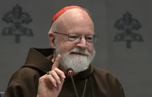 O cardeal Seán Patrick O'Malley apresenta o primeiro relatório anual sobre esforços da Igreja para proteção contra abusos da Pontifícia Comissão para a Tutela dos Menores em entrevista coletiva ontem (29) no Vaticano.