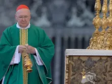 Cardeal Kevin Farrell celebra missa no X Encontro Mundial das Famílias em Roma em 25 de junho de 2022.