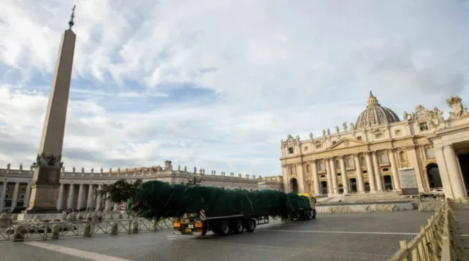 Árvore de Natal chega ao Vaticano ?? 