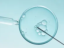 Fertilização in vitro. Imagem referencial.