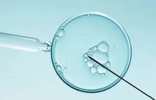 Fertilização in vitro. Imagem referencial.