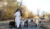 Criando cães e fazendo queijo freiras contemplativas revivem ordem de 900 anos na Califórnia