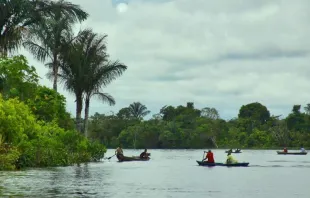 Amazônia. Crédito: Eduardo Berdejo