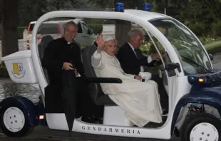 Papa Emérito Bento XVI percorre os jardins do Vaticano em junho de 2015.